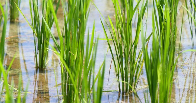 Photo: Unsplash
