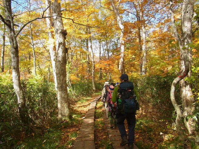 登山歴60年の達人が絶賛する６つの秋山、紅葉が黄金色に輝く桃源郷