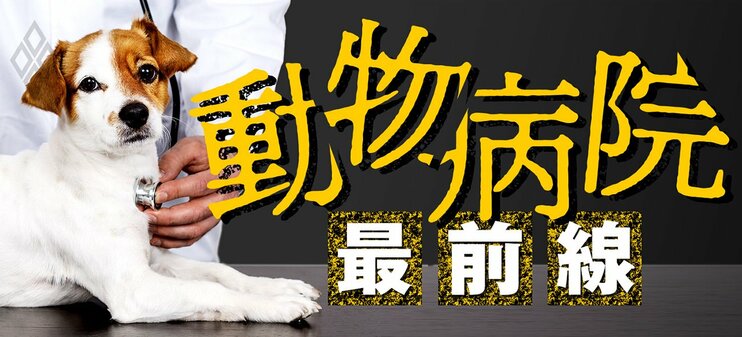 動物病院の最前線