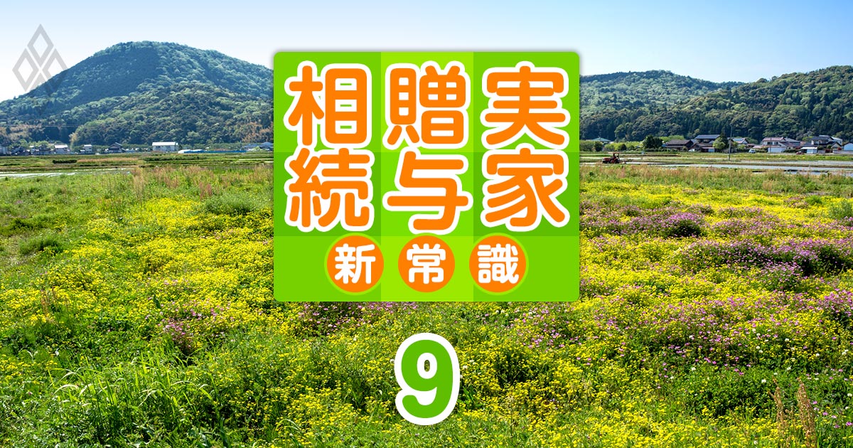 相続した田畑や宅地など“負動産”を手放す最後の手段、「相続土地国庫帰属制度」を使いこなす秘訣とは