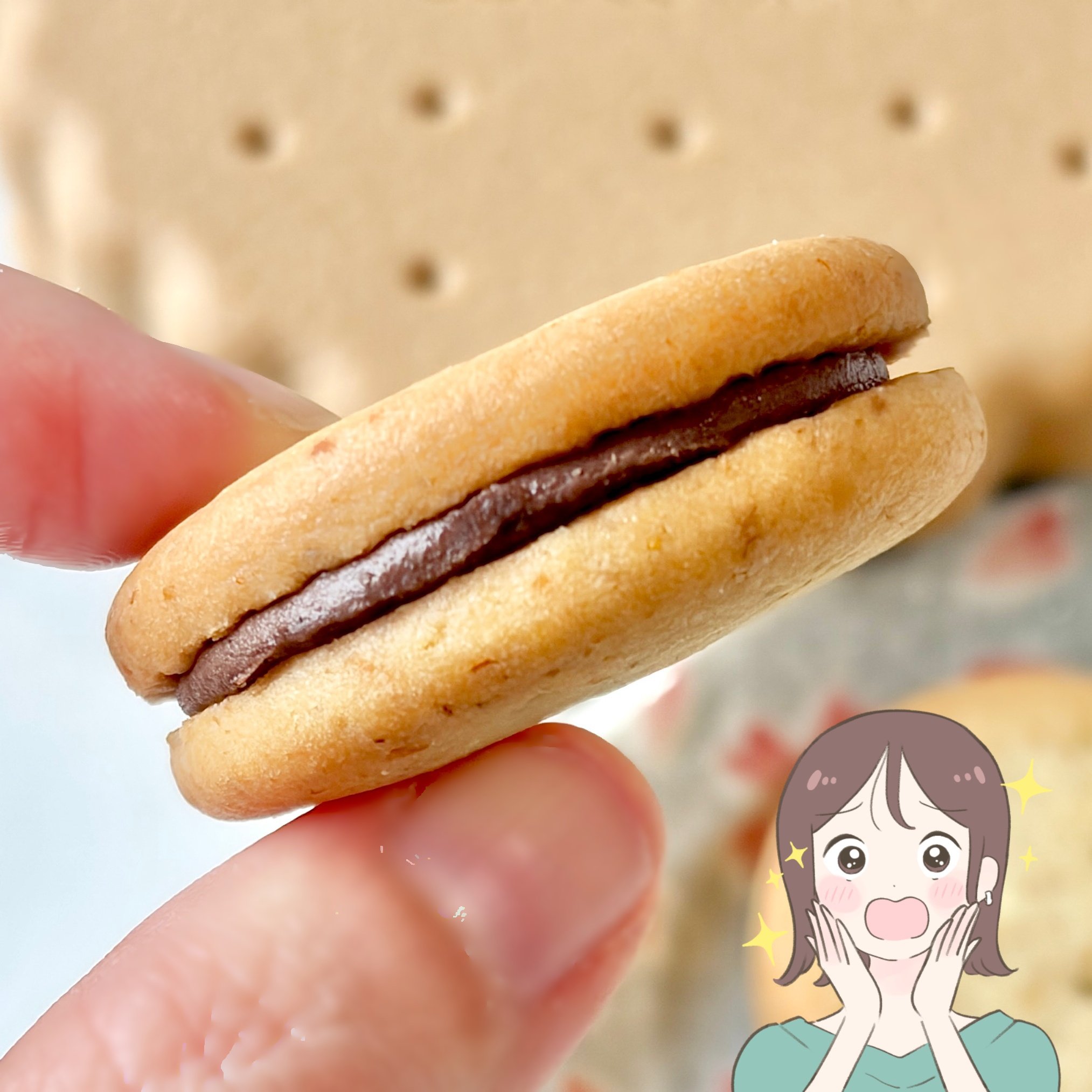 「絶対ほしかったやつ」店舗で見つけたらラッキー！カルディの“お菓子みたいな小物入れ”が可愛すぎる！「買えてよかった」「チョコレート部分も再現」