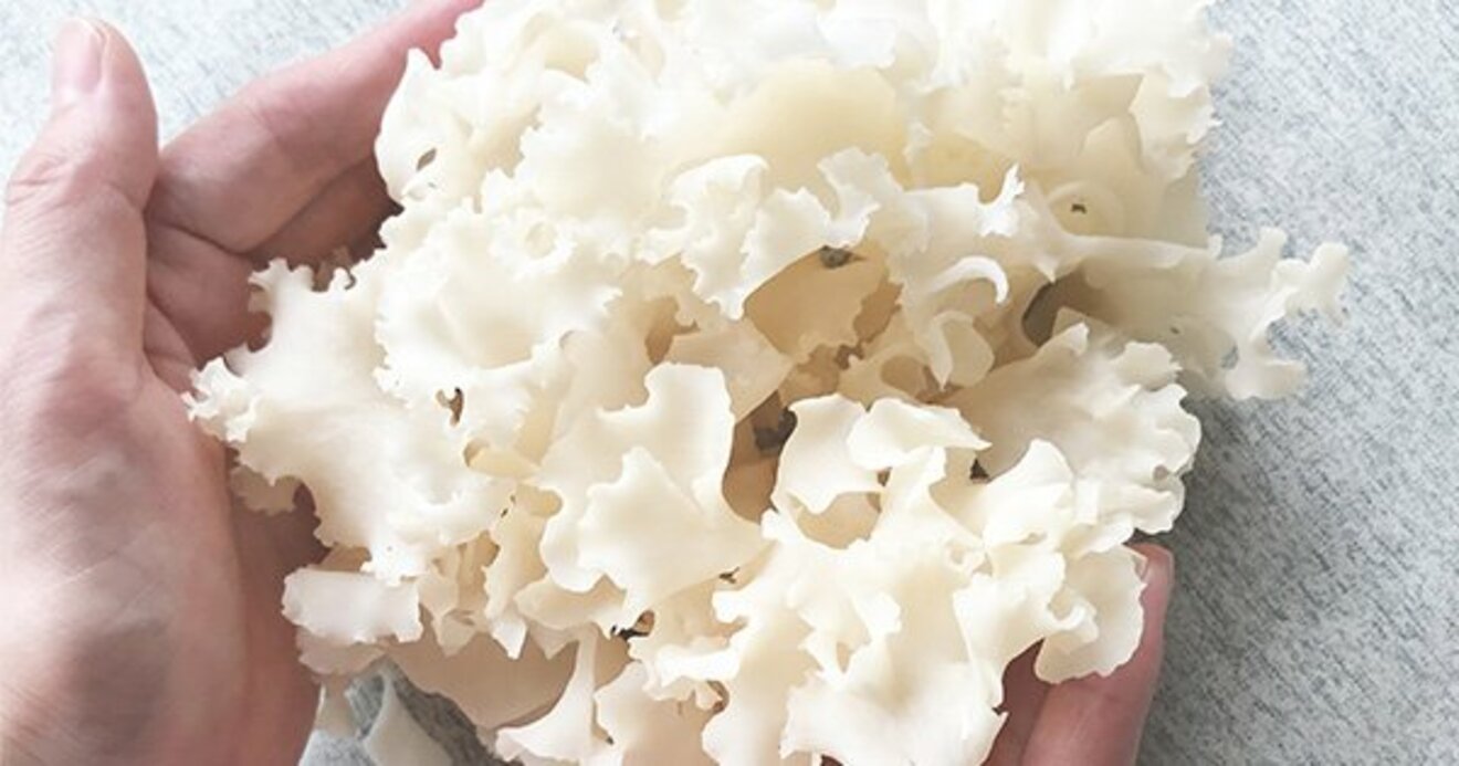 電球を作るようにキノコを作れ Virtical Analysis ダイヤモンド オンライン