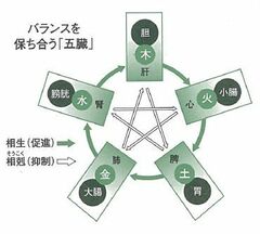 人の体を構成する「五臓」 梅雨期に弱る「脾」に優しく