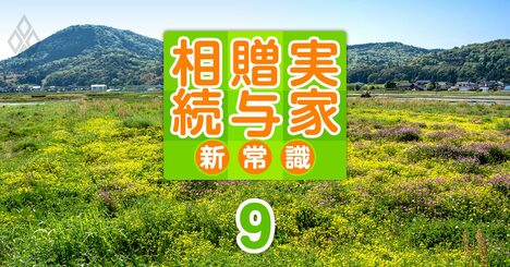 相続した田畑や宅地など“負動産”を手放す最後の手段、「相続土地国庫帰属制度」を使いこなす秘訣とは