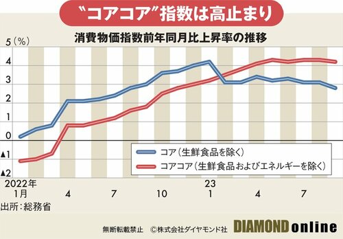 図表：消費物価数前年同月比上昇率の推移