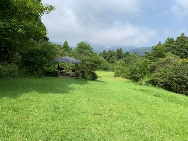 「森のふれあい館」の芝生