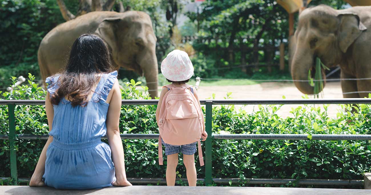 過保護注意】「まるで動物園」のような家庭で育つ子の末路 | 勉強