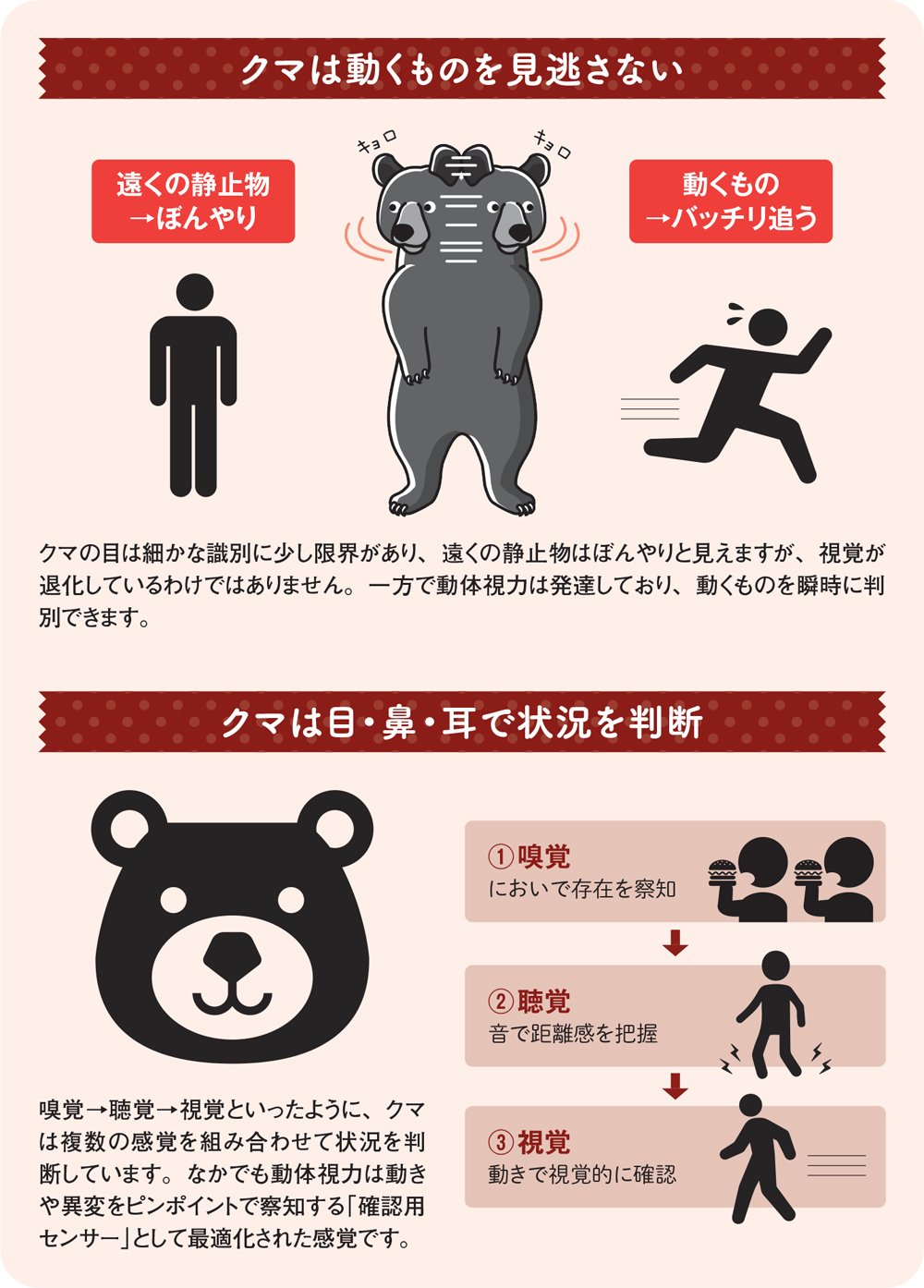 図:クマは動くものを見逃さない