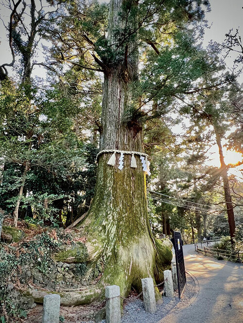 新日本酒紀行「高尾山」