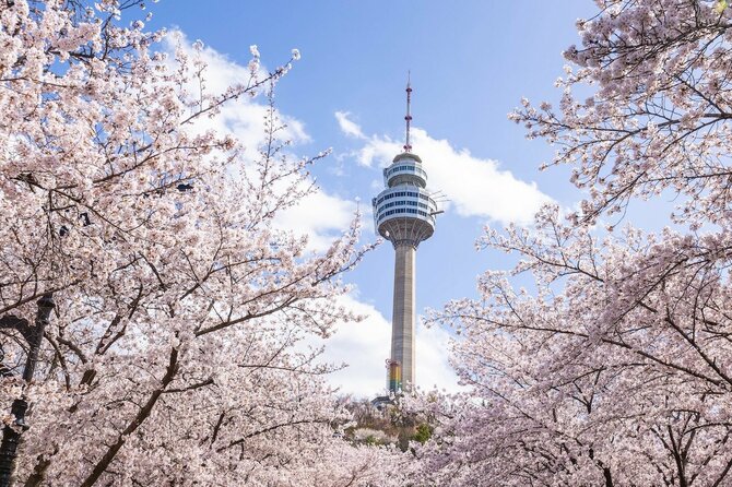 【韓国でも桜を楽しめる!?】韓国旅行でオススメの桜の観光地5選