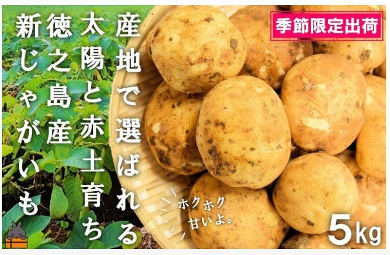 鹿児島県徳之島町「徳之島産新じゃがいも」