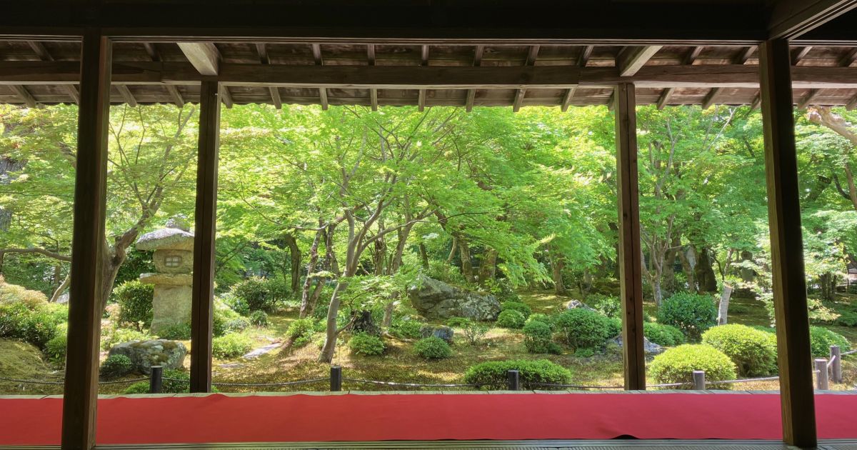 【京都】知られざる名所“深緑の比叡山麓”で青もみじをめで、「天一」総本店もあるラーメン街道へ！〈青もみじ散歩・洛北編〉