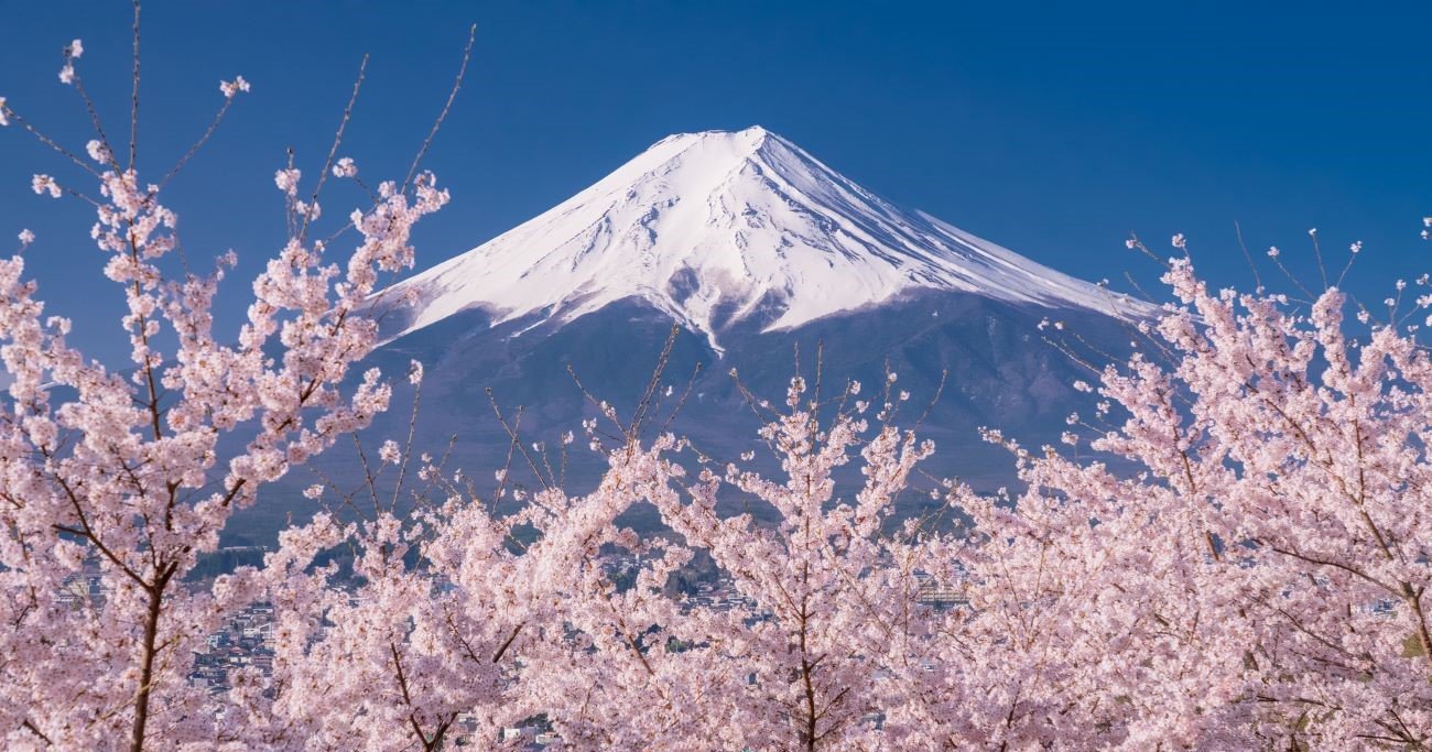 「富士山の登山料は1万円でもいい」日本文化研究家が力説する納得のワケ