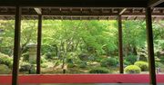 【京都】知られざる名所“深緑の比叡山麓”で青もみじをめで、「天一」総本店もあるラーメン街道へ！〈青もみじ散歩・洛北編〉