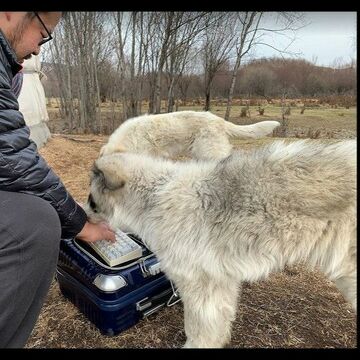 旅行の写真と行程を友達と共有するのにGoogleマップを使うワザ