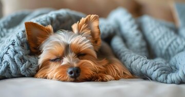 【米国内科専門医が教える】「4時間睡眠で平気」は、なぜ当てにならないのか
