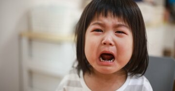 【イライラ、わがままにもうウンザリ】児童精神科医が教える、子どもたちの情緒を健やかに発達させる2つの感情