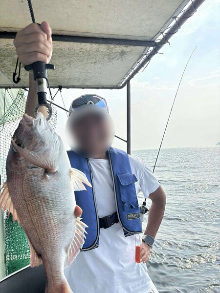 香川ではこんな大きな鯛が楽勝で釣れるのです