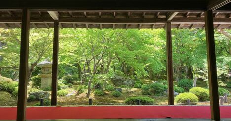【京都】知られざる名所“深緑の比叡山麓”で青もみじをめで、「天一」総本店もあるラーメン街道へ！〈青もみじ散歩・洛北編〉