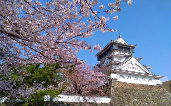 北九州市を代表するお花見スポット