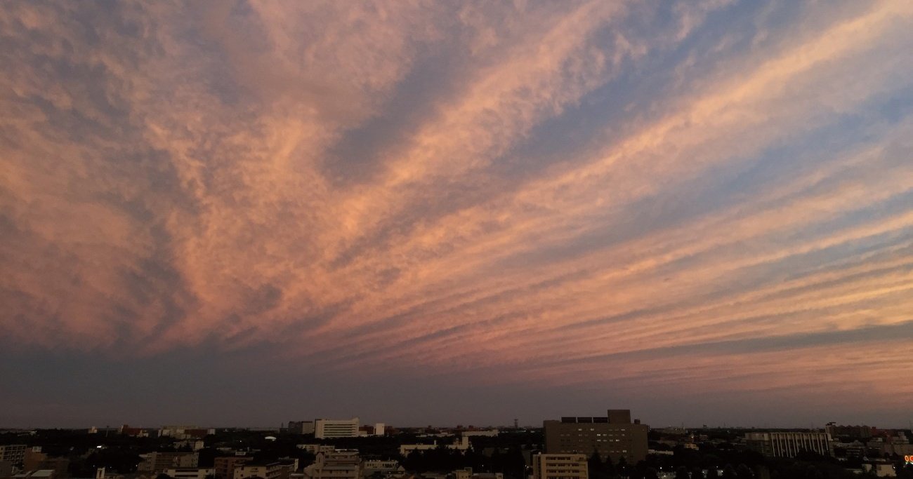 空に浮かぶ不思議な形をした雲「地震雲」の正体とは？ | 読み終えた瞬間、空が美しく見える気象のはなし | ダイヤモンド・オンライン