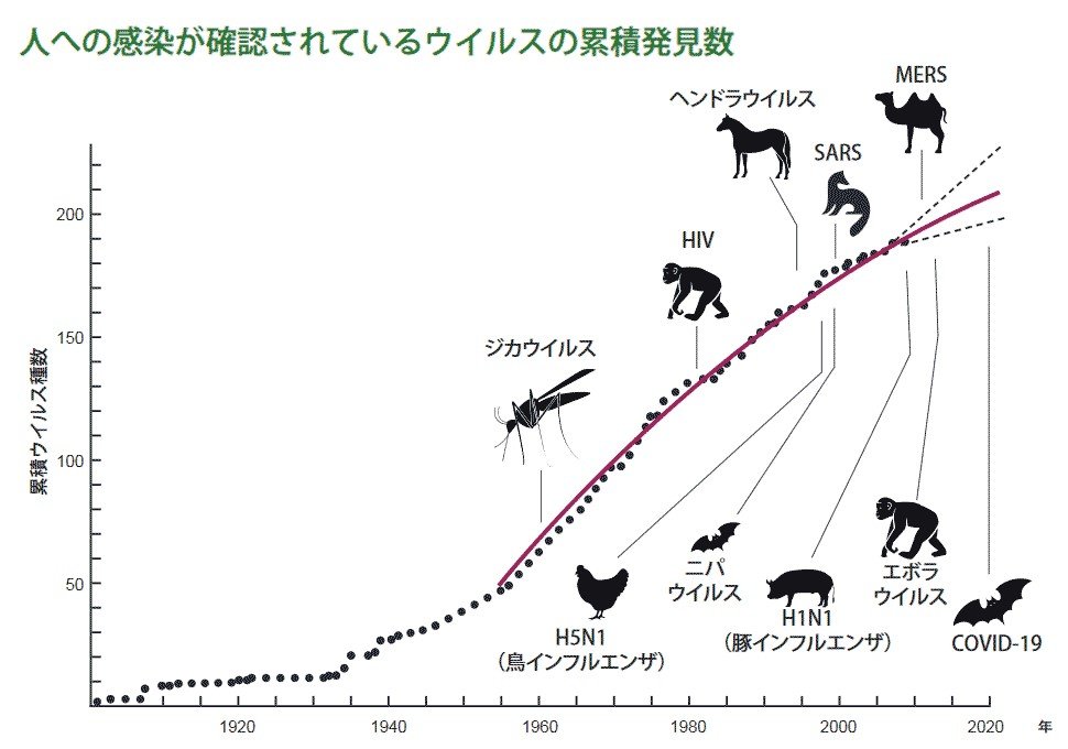 ウイルス累積