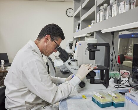 製薬大手、中国に求める「新薬の手掛かり」