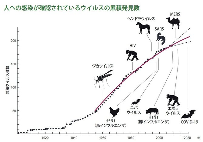 ウイルス累積