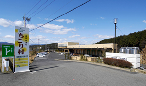 「もやし」で36年連続黒字!強運社長の激動人生