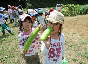 里山保育から、英語、スポーツまで <br />最近の“スーパー保育園”事情