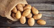 【大人の教養】“嫌われ者”だったジャガイモが、ヨーロッパを救う主食になるまで