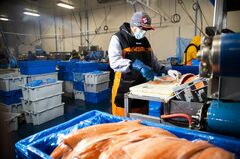 米国の人手不足、解消はあり得ず