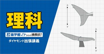 【中学受験の良問・理科】「クジラの尾びれはどっち？」…クジラとサメの違いを聞く「生物」の問題