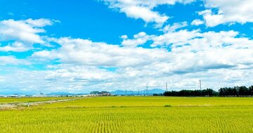 全8皿すべて「米」!? 新潟の田んぼのど真ん中に国際級フレンチがある理由
