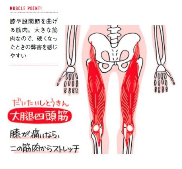 膝と腰の痛みを同時に消す神ストレッチ