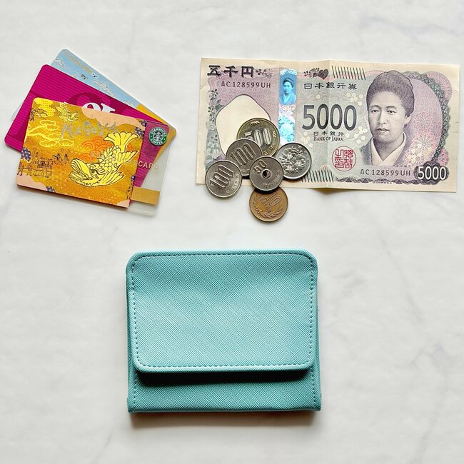 「色違いで2つ購入」3COINSの“ぺたんこ財布”コンパクトなのにカードが15枚入った！「薄くて軽い」「小さいカバンでも全然入る」
