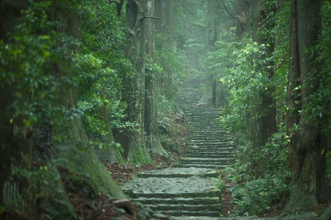 写真：熊野古道（和歌山県田辺市・那智勝浦町など）