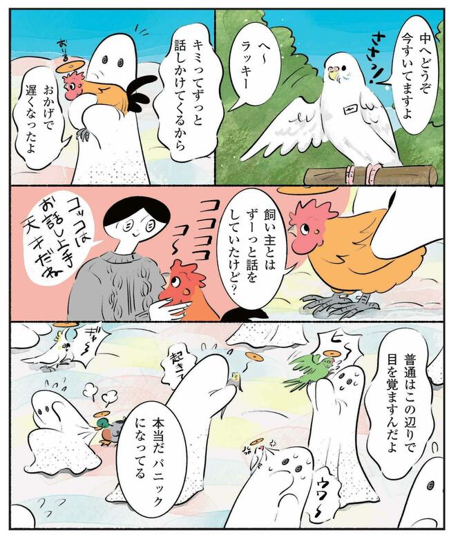 まわりを見渡すコッコとポンチョ