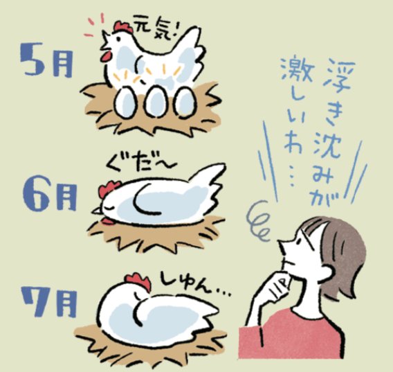 年金の足しにできる?人気の「予想分配金提示型」の毎月分配型は高分配を維持できるのか