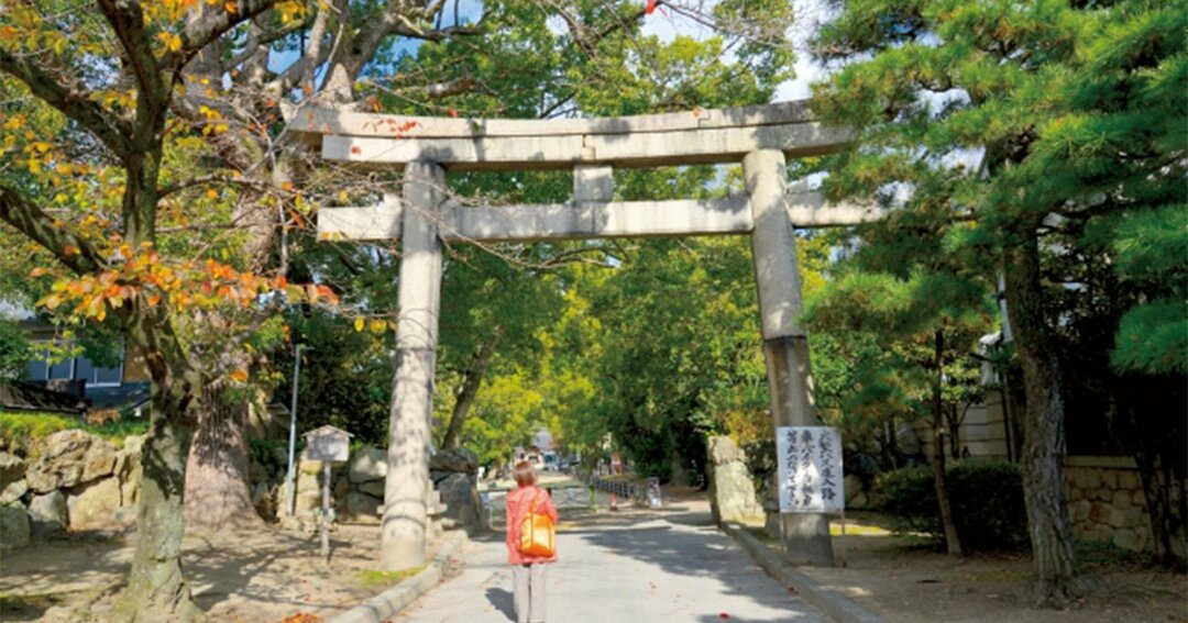 夏,京都,神社,御朱印