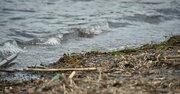 水が汚い海水浴場ランキング2021【全160カ所・完全版】