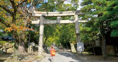 夏期限定の御朱印が頂ける！京都開運お散歩ガイド