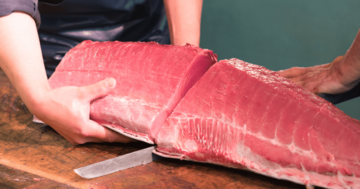 クロマグロの水揚げ量「6年連続1位」はどこ?楽天・球団社長から“寿司店の経営者”に転身した男が語る、意外と知らない「日本一の港町」とは