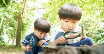 子どもの「好奇心を奪う」遊ばせ方とは？霊長類学者が警鐘を鳴らす「与えすぎる教育」