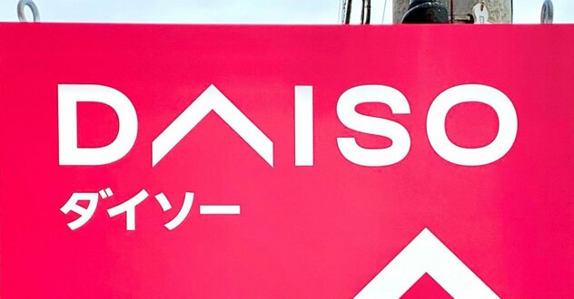 お薬が110錠も入った…！ダイソーの“天才が考えたピルケース”お薬ストレスを解消してくれました！《購入レビュー》