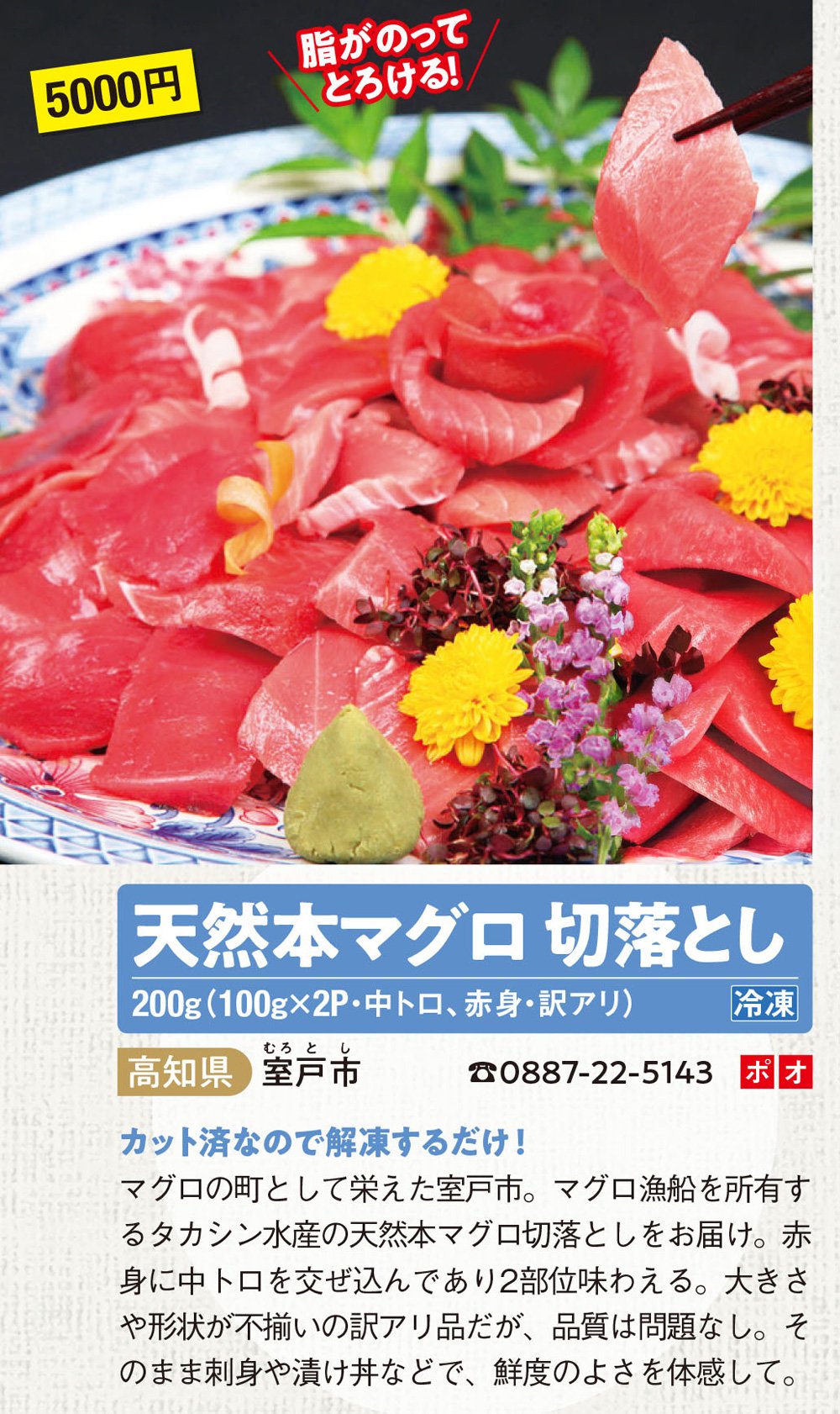 室戸市のマグロ