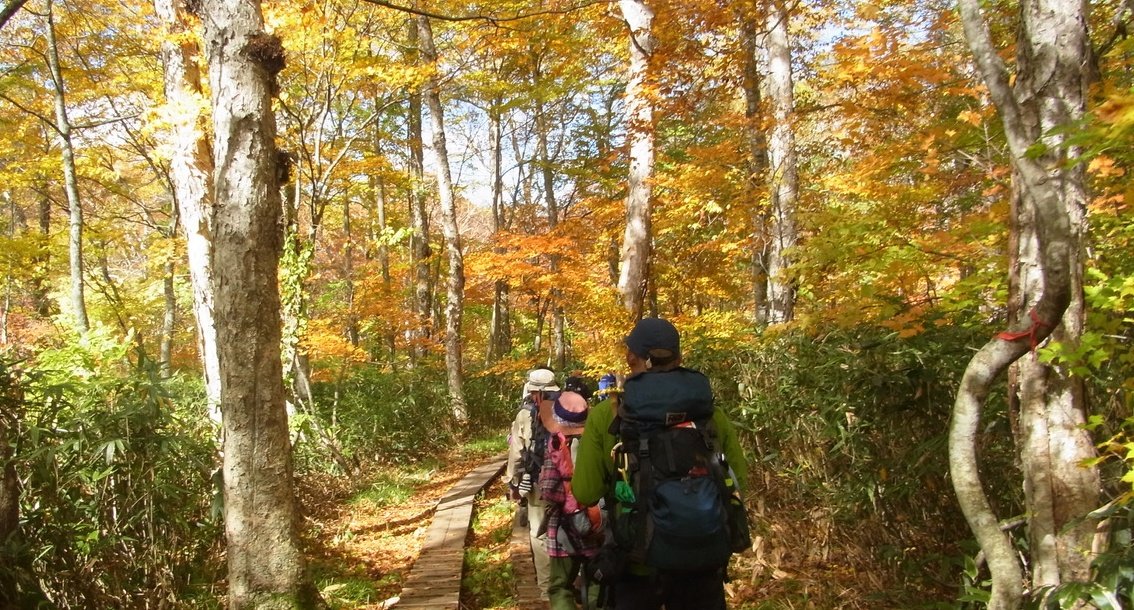 登山歴60年の達人が絶賛する６つの秋山、紅葉が黄金色に輝く桃源郷