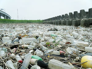 健康被害の可能性も?マイクロプラスチック問題とは