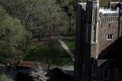 米大学に危機、ビザ制限で中国人留学生急減へ