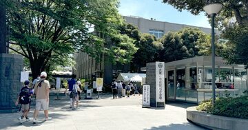 【中学受験の最新事情】人気が高い学校「3つの特徴」と、不人気校の「たった1つの共通点」とは?